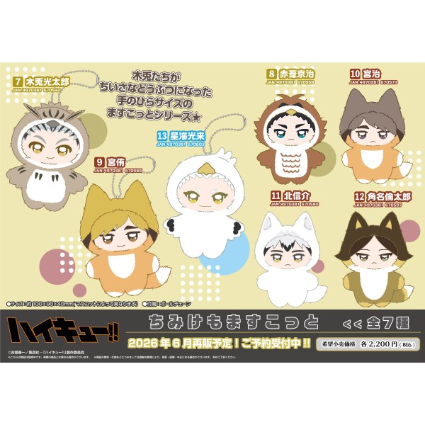 アニメ『ハイキュー!!』 ちみけもますこっと /(11)北信介