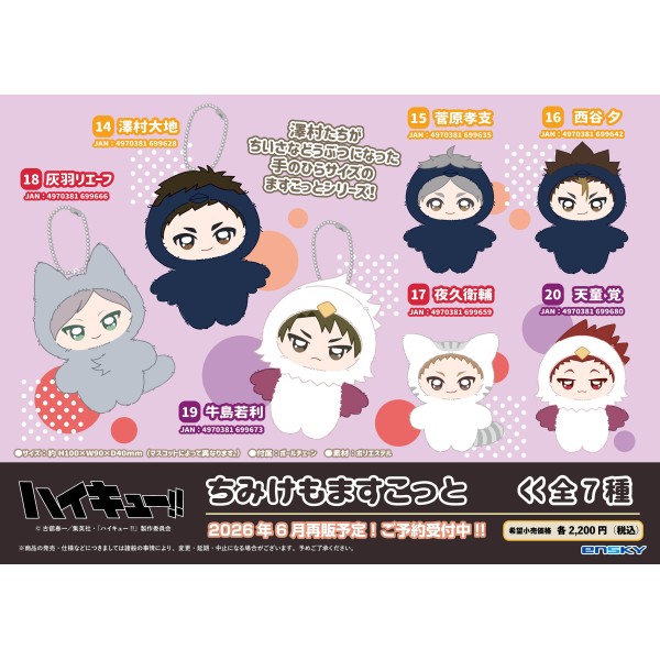 アニメ「ハイキュー!!」 ちみけもますこっと /(14)澤村大地