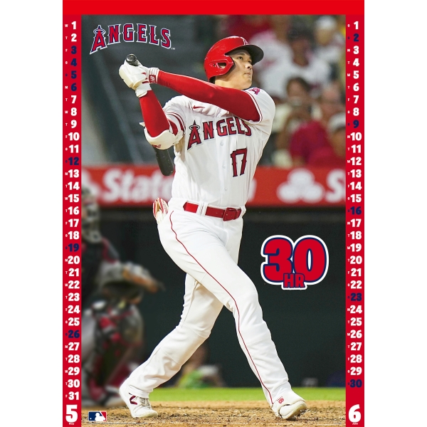 Shohei Ohtani  Wall Calendar CL   Ensky shop