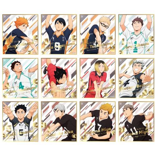 ハイキュー To The Top ビジュアル色紙コレクション5 1box 12パック入り エンスカイショップ